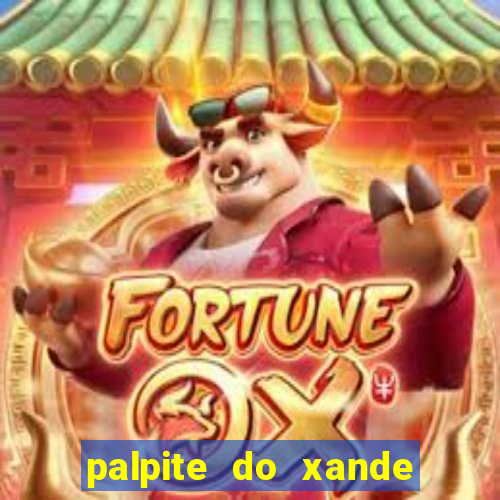 palpite do xande para hoje